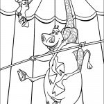 דף צביעה גלוריה ומלמן במופע אקרובטי