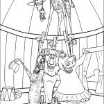 דף צביעה החיות בהופעה אקרובטית