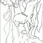 דף צביעה אסלן האגדי מייסד נרניה