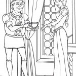 דף צביעה שרק 3