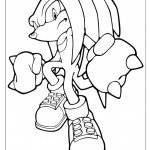 דף צביעה סילבר הקיפוד