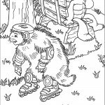 פרנקילן צופה בגירית על גלגיליות