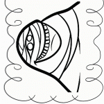 דף צביעה פני המומיה מורי