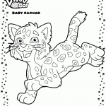 דף צביעה היגואר גורי