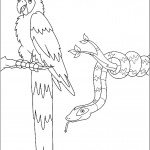 דף צביעה תוכי ונחש