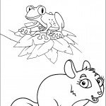 דף צביעה צפרדע וסנאי