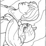 דף צביעה מלחמת הכוכבים 33