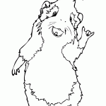 דף צביעה כוח G 13