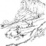 דף צביעה עזים רועות בהרים