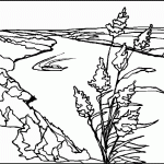 דף צביעה צמח על גדת נהר