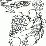 דף צביעה פירות וחיטים לחג השבועות