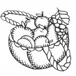 דף צביעה סלסילת פירות