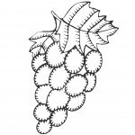 דף צביעה אשכול ענבים