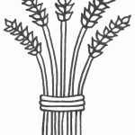 דף צביעה צרור חיטים