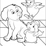 הברווזה והשפן שמחים לפגוש את הכלב