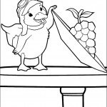 דף צביעה הברווזית הסקרנית