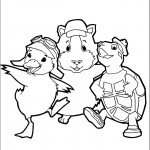 דף צביעה וונדר פטס - הגיבורים הראשיים