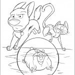 בולט, החתולה מיטנס והאוגר ריינו