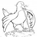 ציפור אוכלת תולעת