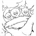 שלושה גוזלים בקן הציפור