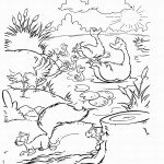 משפחת ברווזים שטה באגם