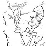 חתול תעלול פוגש בדוכיפת