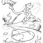 חתול תעלול מגיע לים