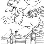 התרנגול רוקי עף באוויר התרנגול רוקי עף באוויר