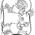 דף צביעה ריקוד התרנגולות דף צביעה ריקוד התרנגולות