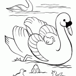 כיף לשבת על אימא ברווזה