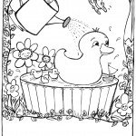 דף צביעה ברווז אוהב מים