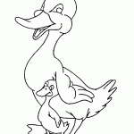 דף צביעה ברווזון ואימא ברווזה