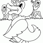 פרחים מחייכים לברווז