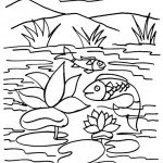 דף צביעה דגים פוגשים בשושנת מים