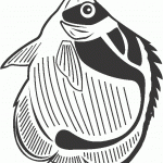 דף צביעה דג סנדל 1