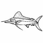 דף צביעה דג החרב 2