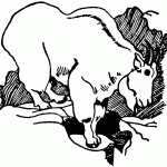 דף צביעה תיש גדול במיוחד