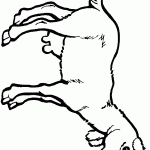 דף צביעה עז מוכנה לחליבה