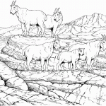 דף צביעה עזים ותיישים בטבע