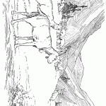 דף צביעה תיישים בטבע