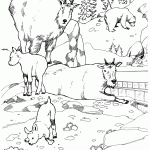 דף צביעה עזים וגדיים בטבע