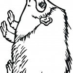 דף צביעה קיפוד במבט מהצד