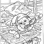 כלב עושה בלגן בחדר המלון