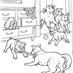 הכלבים משחקים בחדר המלון