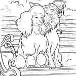 שני כלבים נהנים בישיבה על הספסל