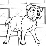 דף צביעה הכלב פריידי