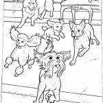 הכלבים משתוללים במלון