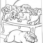 הכלבים נחים על כורסא מרהיבה במלון