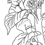 דף צביעה ג'ק מטפס על גבעול האפונים 1