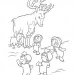 חבורת איינשטיין ואיילי הצפון